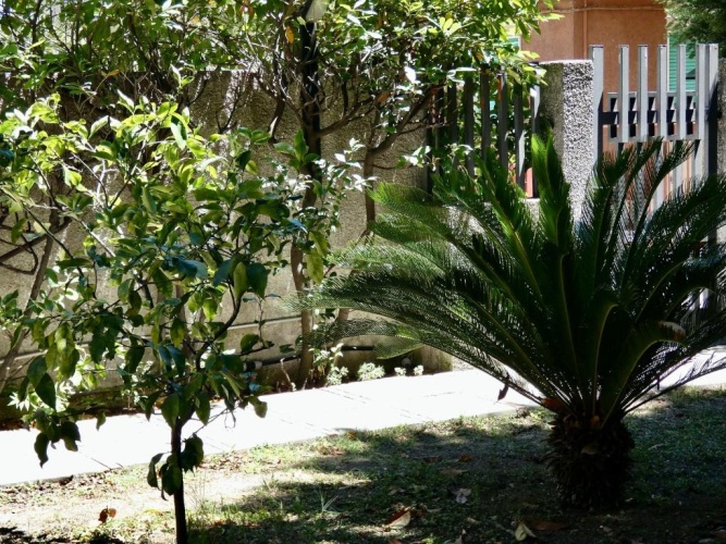 1 Bedroom Cottage