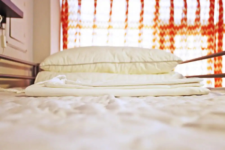 Navel Orange Hostel
