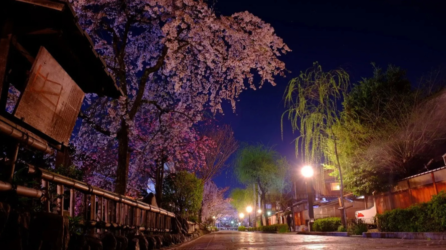 Tsumugi MatsubaraSakaimachi