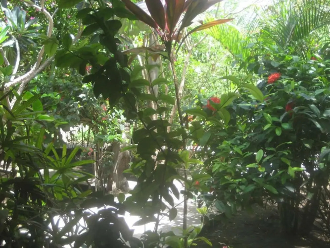 Rumah Purnama
