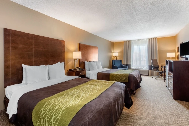 Standard Quadruple room