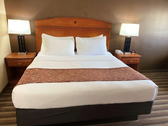 Business Double room