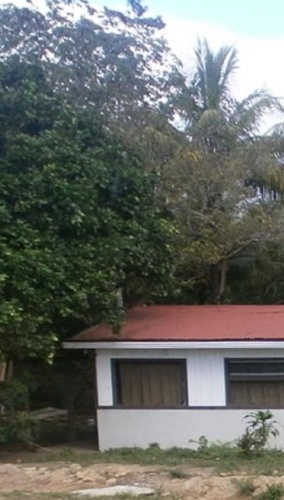 Outside