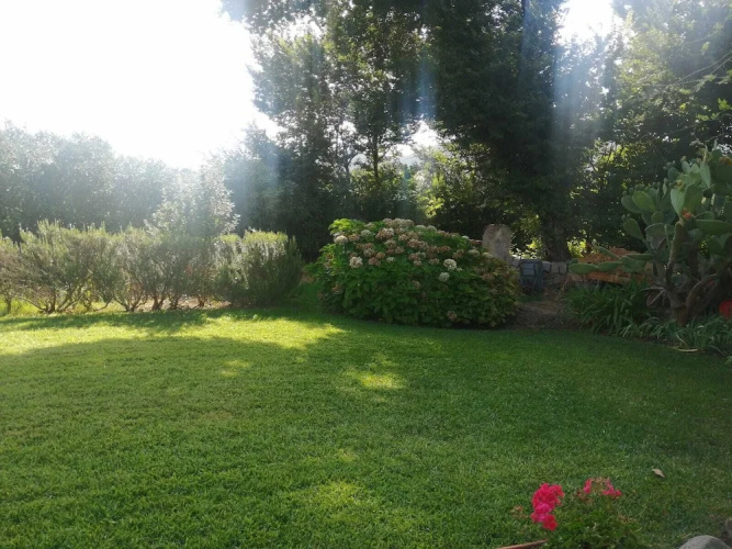 Impeccable 6-bed Villa in Luogosanto