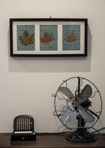 Studio