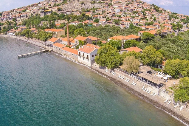Olive Press Hotel & Apartments