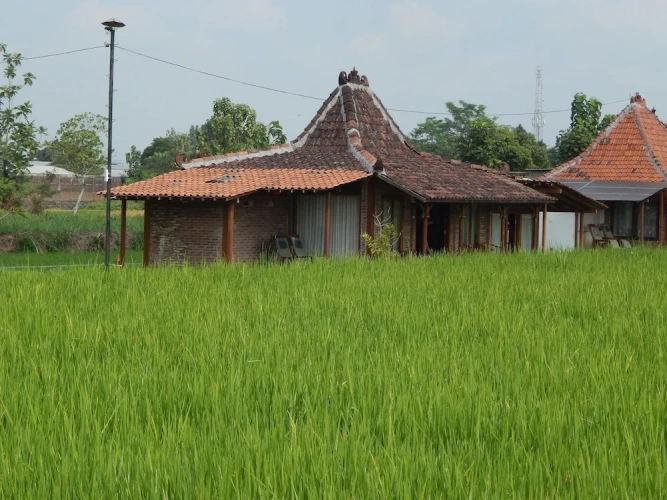 2 Bedrooms Family Villa with garden view