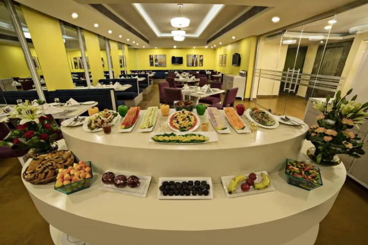 Sarovar Portico Naraina Delhi