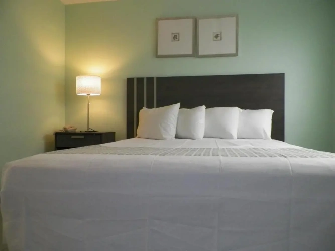 Luxury Double Suite