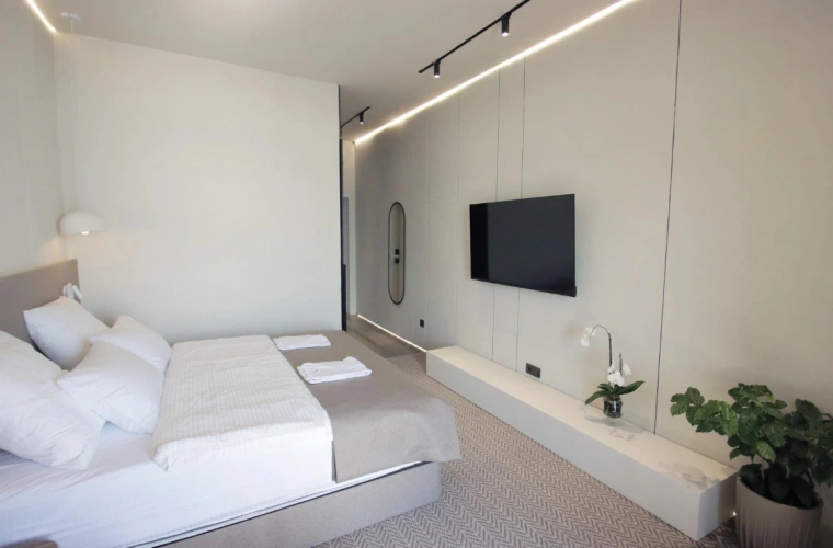 Superior Double room with balcony and with view