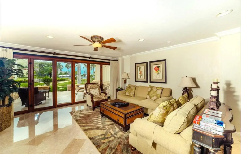 Palms 20