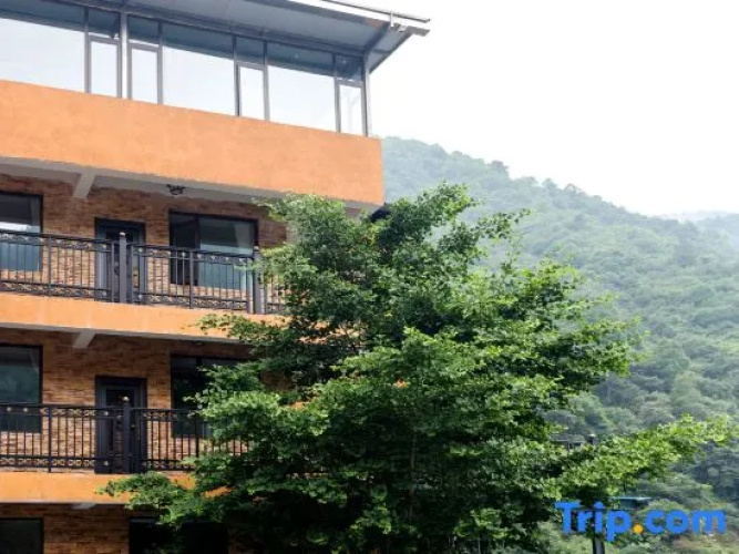 Home Hotels