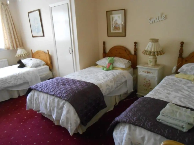 Deluxe Family room