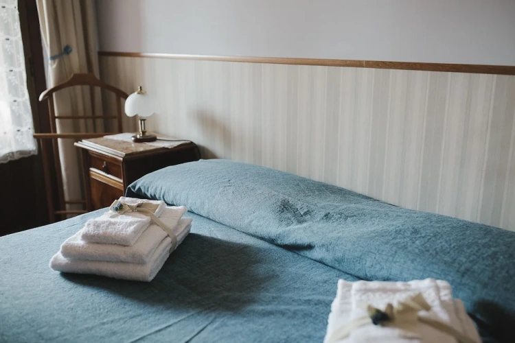 Standard Double room with balcony and with garden view