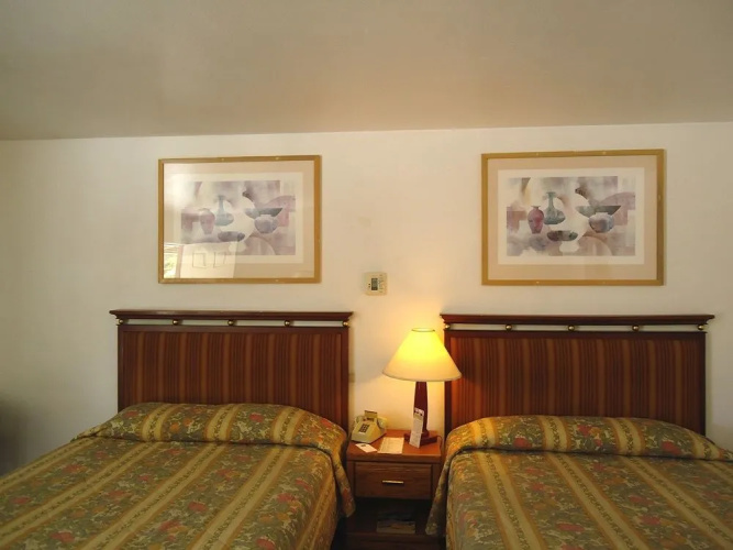 Maple Inn & Suites