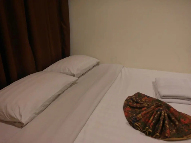 Standard Single room with view