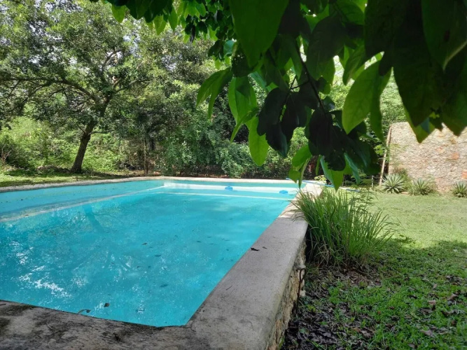 Casa Viva Mérida
