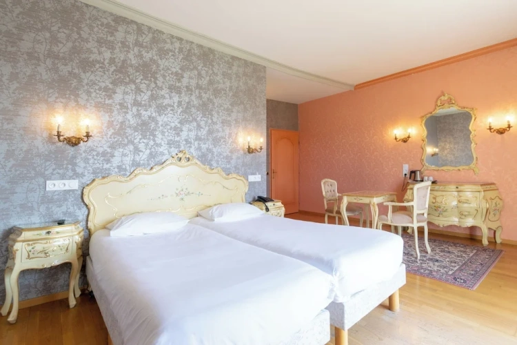 Superior Twin room with lake view