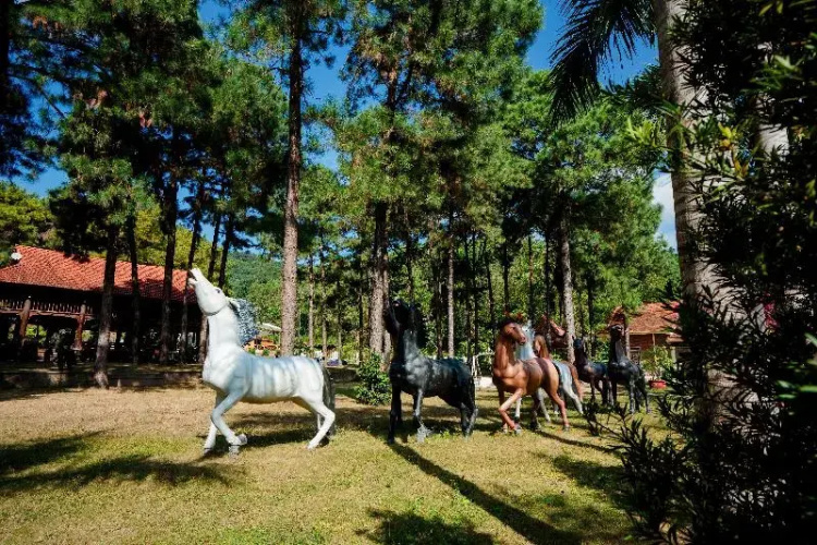 Bai Tu Long Mountain Resort