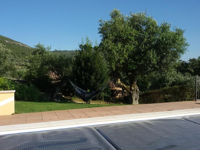 Standard Double room with view
