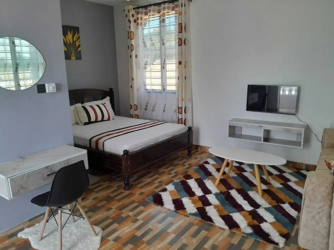Comfort Apartment