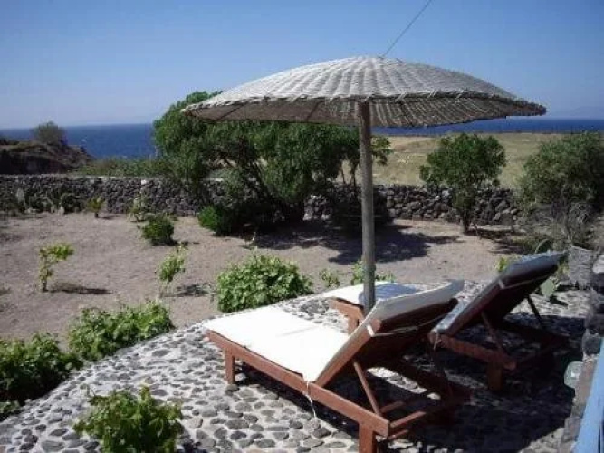 Ecoxenia Studios