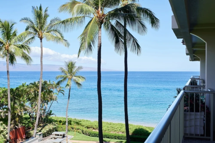 1 Bedroom Standard room with ocean view