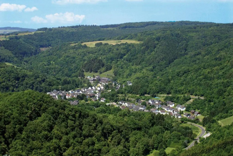 Landhotel Weinhaus Treis