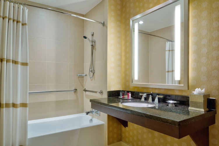 Wyndham Atlanta Buckhead Hotel & Conference Center photo 9
