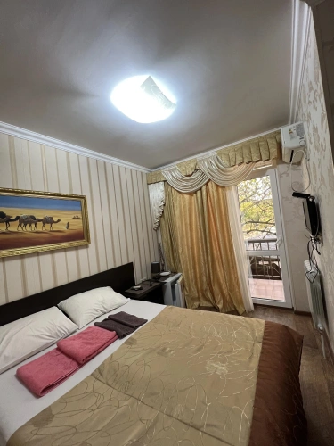 Standard Double room with balcony and with view