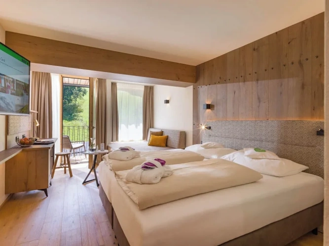 1 Bedroom Classic Double room with mountain view