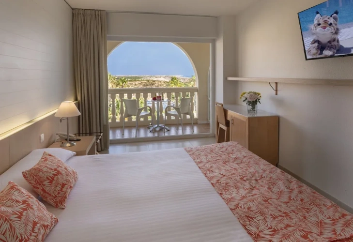 Standard Double room with balcony and with sea view