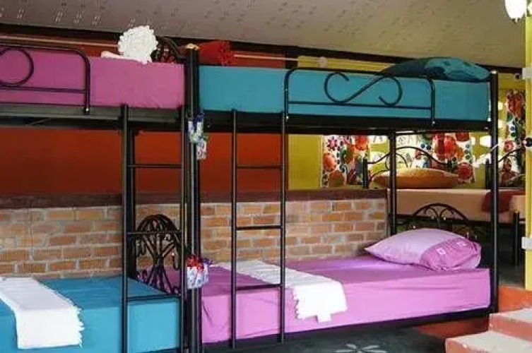 Dorm Des Fleurs