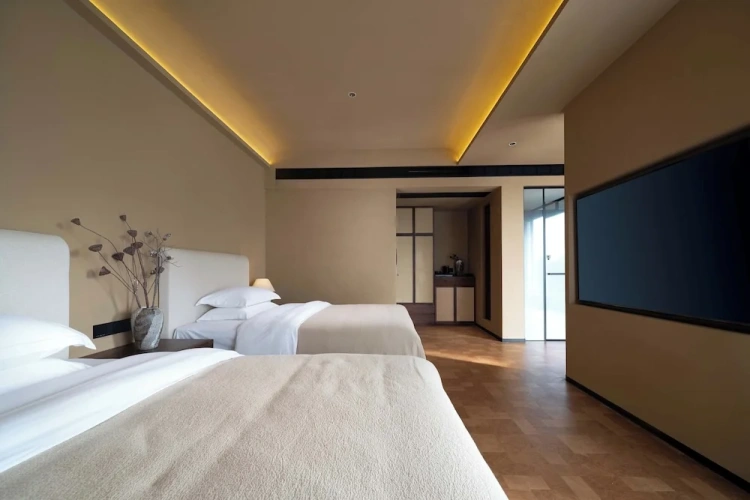 Deluxe Twin room with mountain view