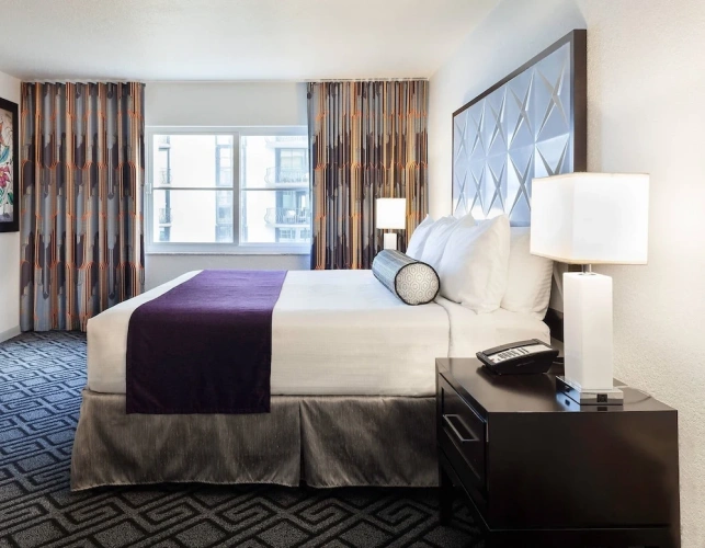 1 Bedroom Suite