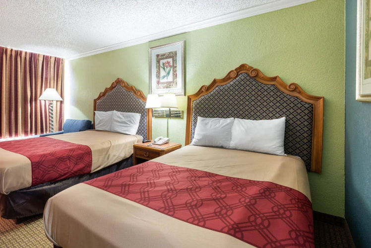 Hotel elev8