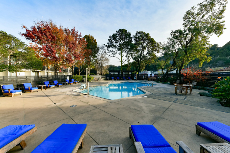 Holiday Inn Express Mill Valley San Francisco Area photo 18
