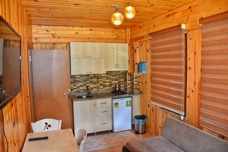 Deluxe Apartment with view