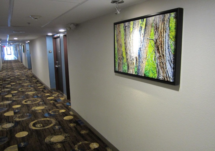 Best Western Plus Sunrise Inn photo 16