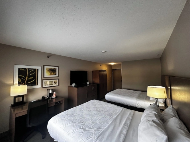 Standard Double room