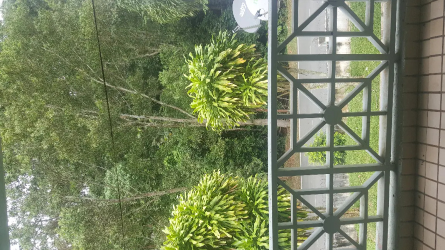 Selesa Resort