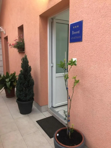 Two Bedroom Apartment