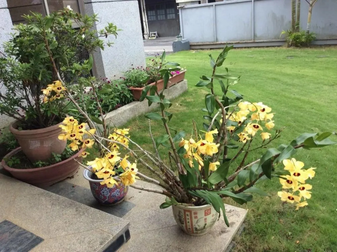 Yuan Zhong Yuan B&B