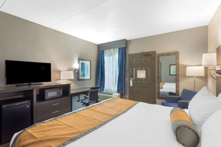 Single Suite