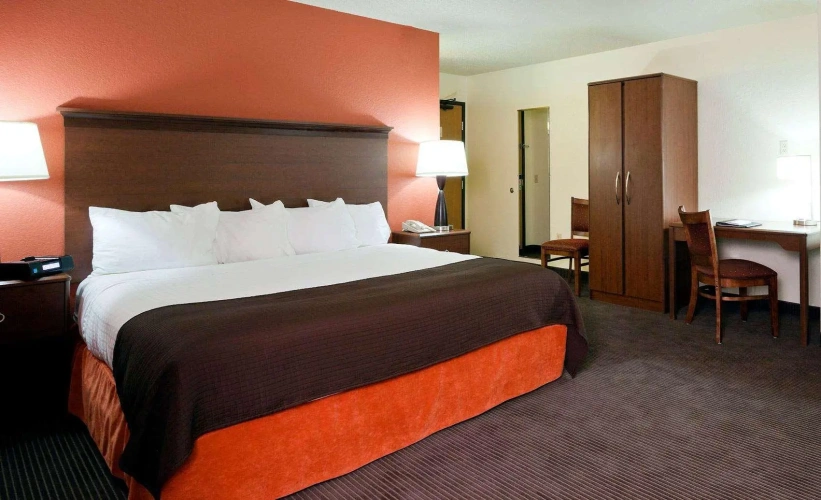 1 Bedroom Standard Double room