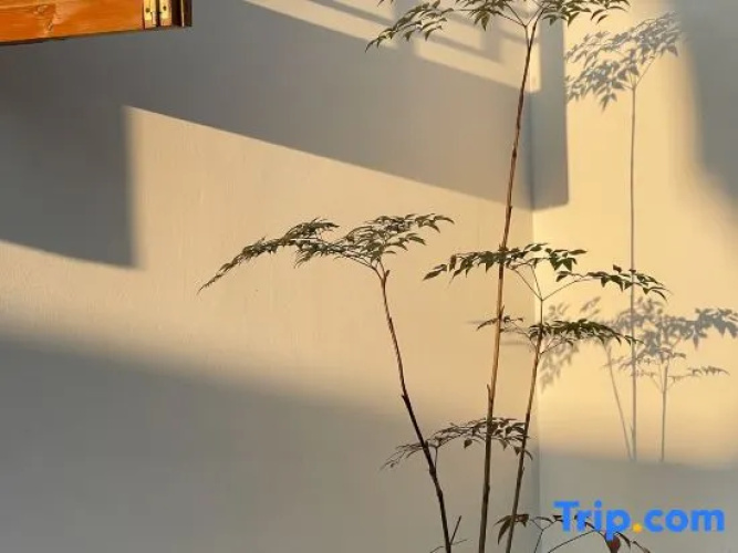 Tingxueyuan