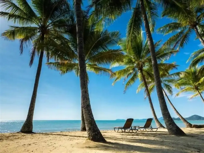 Palm Cove Studio Apartments