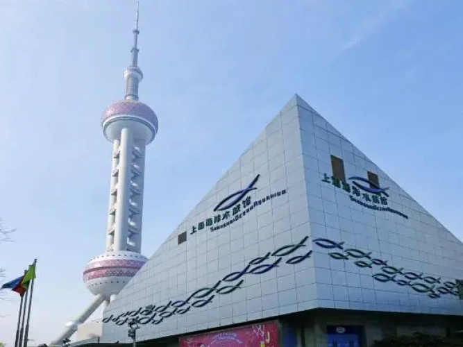 Shanghai Diman Hotel