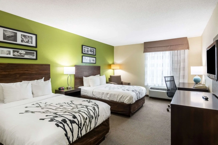 Standard Quadruple room