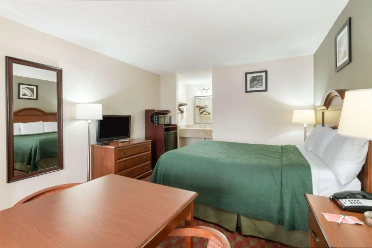 1 Bedroom Standard Double room